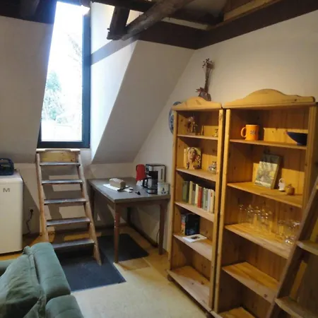 Dachwohnung In Waldgebiet شورتنز
