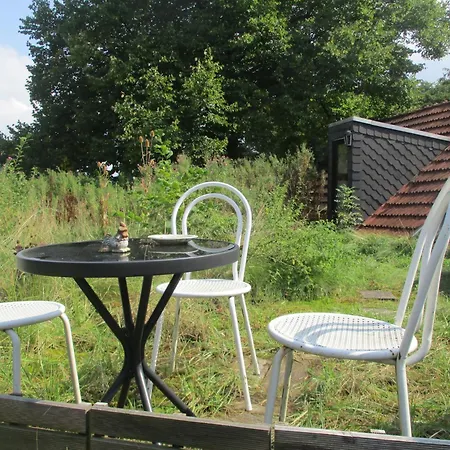 Dachwohnung In Waldgebiet شورتنز